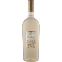 Ulisse Pinot Grigio Premium, Terre di Chieti IGP, Abruzzen, 2025, Weißwein