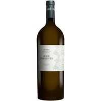 José Pariente Sauvignon Blanc - 1,5 L. Magnum Spanien Weißwein Trocken