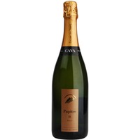 Pupitre Brut