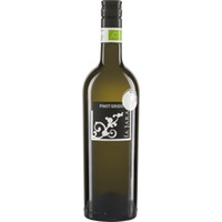 Pinot Grigio Bianco Delle Venezie DOC - La Jara