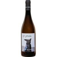 Grisù Langhe DOC trocken - Roberto Garbarino