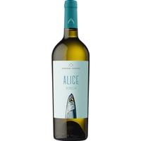 Produttori Vini di Manduria Alice Verdeca Salento IGT - - Apulien, Italien