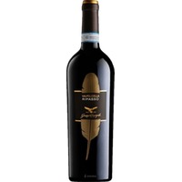 Campagnola Ripasso Valpolicella Classico Superiore DOC - - Veneto, Italien