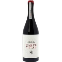 Quinta do Casal da Coelheira Carpe Vitae - - Ribatejo, Portugal