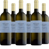 Pinot Grigio Trentino DOC Bottega Vinai