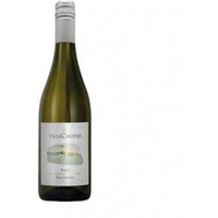 Sauvignon Blanc Friuli Grave SV