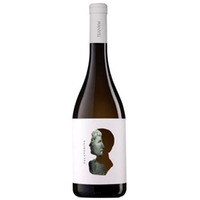 Falanghina "Otre" Puglia IGP