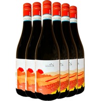 Arnaio Kennenlern-Paket BIO - Valdonica