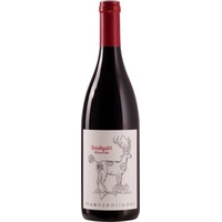 Zweigelt Neusiedlersee DAC Reserve Römerstein