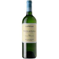 Vigna di Paola Malvasia