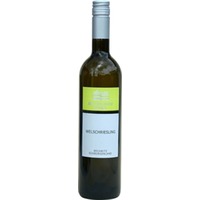 Welschriesling - Weingut Arkadenhof Mandl-Brunner