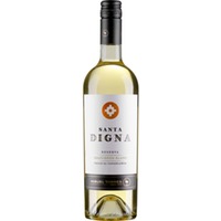 Torres Santa Digna Sauvignon Blanc Reserva