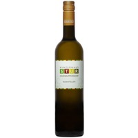 Muskateller BIO - Winzerhaus Stur