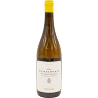 Foradori Manzoni Bianco Fontanasanta