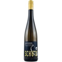 Sauvignon Blanc trocken - Weingut Schütz