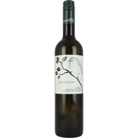 Sauvignon Blanc trocken Bio - Weingut Fleischhacker