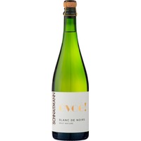 Evoé! Blanc de Noirs brut nature Bio - Weingut Schnaitmann