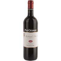 Pio Cesare : Barbera d'Alba