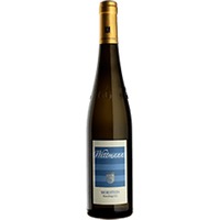 Weingut Wittmann : Morstein Riesling Trocken Grosses Gewächs