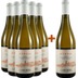 5+1 Paket Etesia Pinot Grigio Umbria IGP - Chiorri 