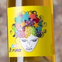 Mas Candí A La Borina