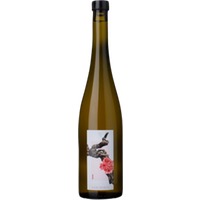 Vigne En Rose - Vignoble Du Rêveur