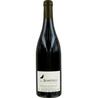 Les Sorcières Du Clos Des Fées - Herve Bizeul & Associés