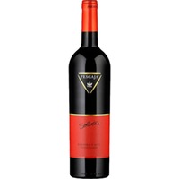 Pescaja Soliter Barbera d'Asti, Barbera d'Asti DOCG, Piemont, 2024, Rotwein