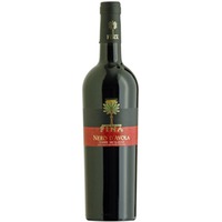 Fina Vini Nero d'Avola Terre Siciliane IGP - - Sizilien, Italien