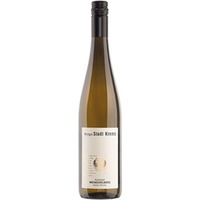 Gruner Veltliner Weinzierlberg Stadt Krems - - Niederösterreich, Österreich