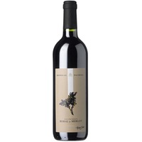 Palmera Bobal y Merlot - - Levante, Spanien