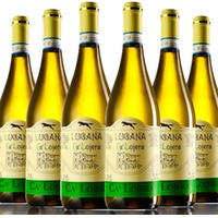 6er Sparpaket Lugana DOC