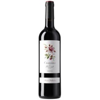 Camins del Priorat - Alvaro Palacios, S.L. (36,67 CHF pro 1 l)