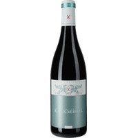 Spätburgunder vom Kalkmergel trocken