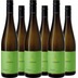 Grüner Veltliner Kamptal DAC (AT-BIO-402) 