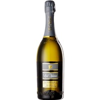 Coste di Mezzodi Valdobbiadene Millesimato DOCG