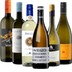 Grauburgunder Grande Selection – 6x Rebsortenpaket 