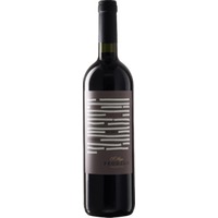 Malbec Single Vineyard Reserva La Consulta - El Hijo Prodigo